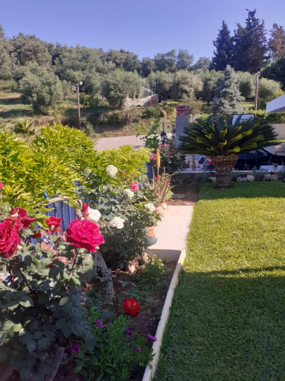 Simos' Sea View House Villa Nikopolis Exterior foto
